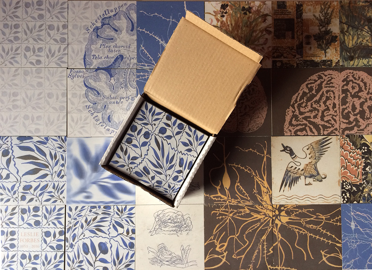 A selection of the ceramic tiles for our path - just arrived